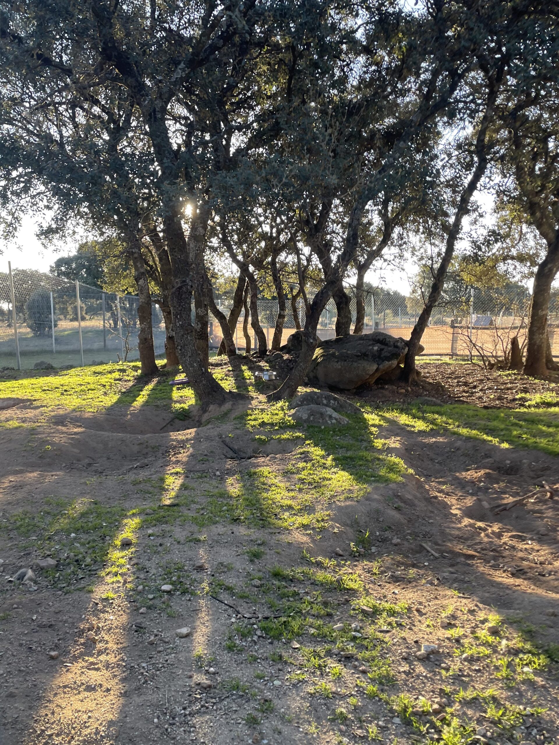 residencia canina, guardería perros, adiestramiento