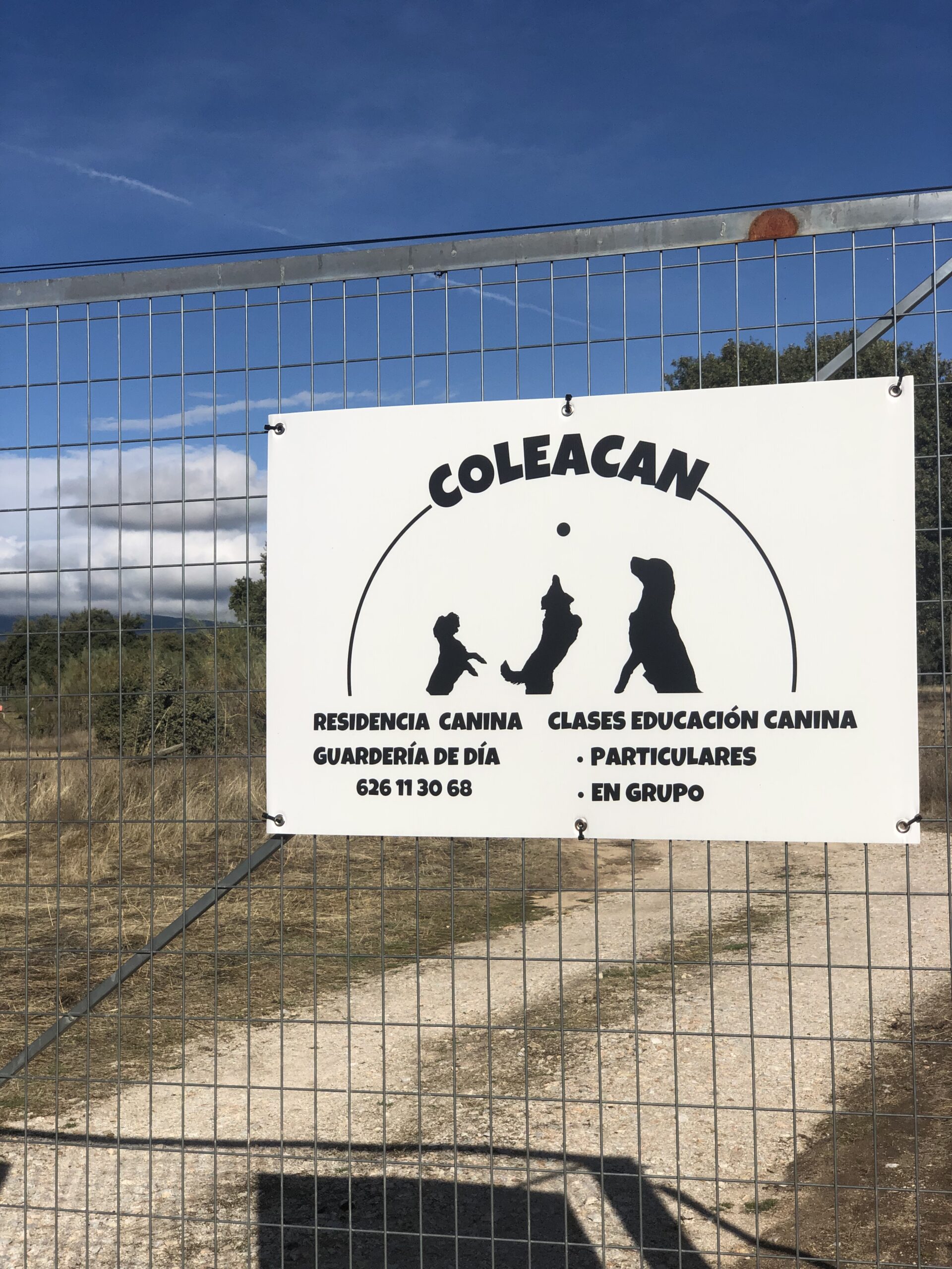 residencia canina, guardería perros, adiestramiento 
